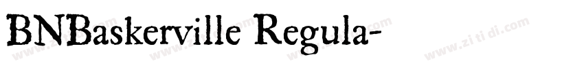 BNBaskerville Regula字体转换